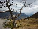 New_Zealand (480)